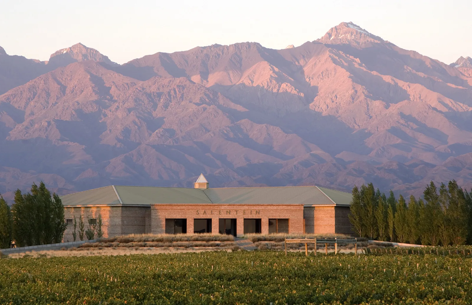 Salentein winery below the Andes in Mendoza